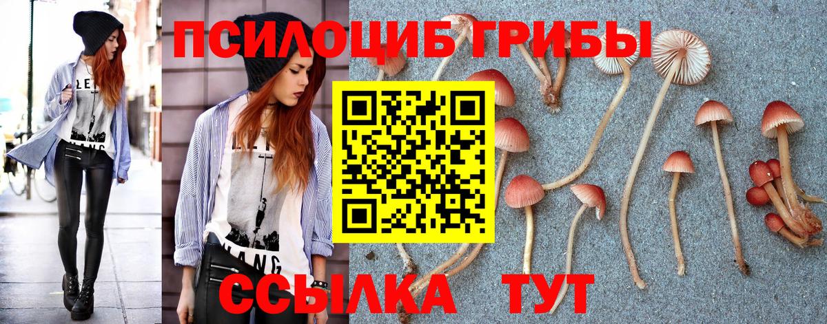 магазин  наркотиков  Вход с VPN  Галлюциногенные грибы Psilocybe  Клинцы  Псилоцибиновые грибы MAGIC MUSHROOMS 
