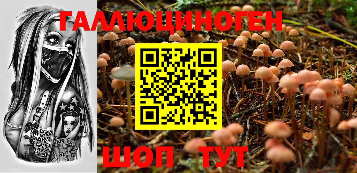 Галлюциногенные грибы GOLDEN TEACHER Клинцы